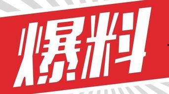 獨家爆料素材,震驚內(nèi)幕，揭秘某事件背后驚人真相！
