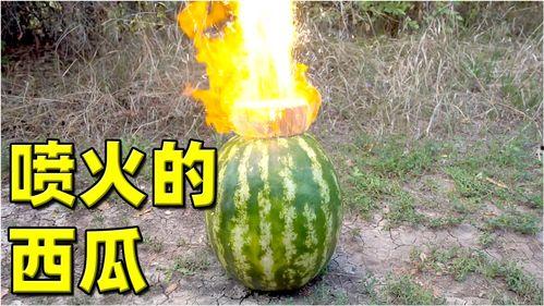 熱門大瓜,熱門大瓜背后的驚人真相