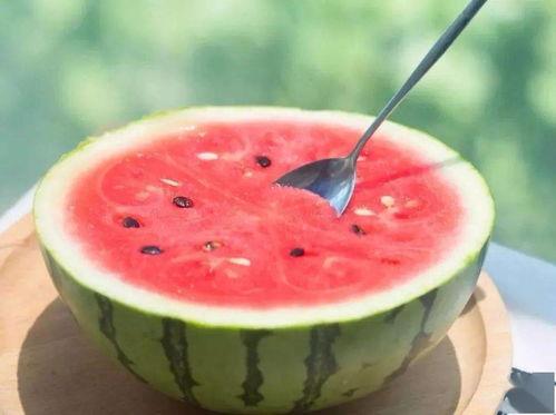 吃瓜網(wǎng)官網(wǎng)免費觀看,熱門劇集一網(wǎng)打盡！