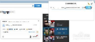 黑料網(wǎng)永久免費網(wǎng)站直接進(jìn)入網(wǎng)頁,暢游網(wǎng)絡(luò)世界的秘密通道